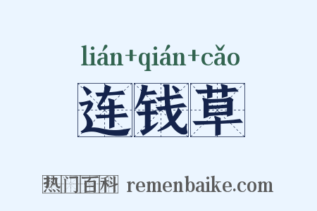 连钱草是什么意思的图片